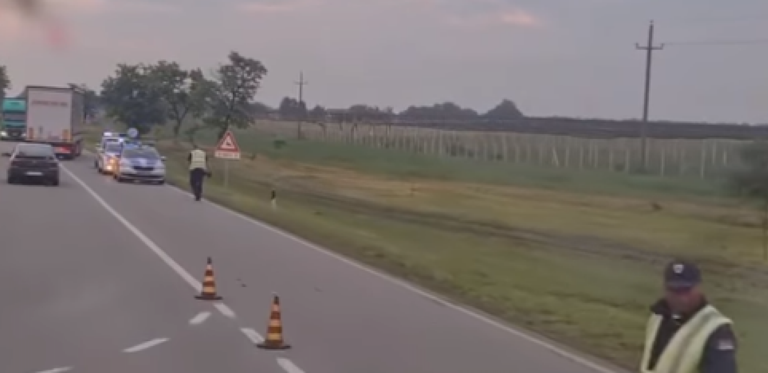 PRVI SNIMAK TEŠKE NESREĆE NA PUTU BAČKA TOPOLA-SUBOTICA U sudaru automobila poginule dve osobe (VIDEO)