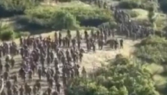 ŠTA SE DEŠAVA U AMERICI? Digla se cela avijacija, stotine tenkova na ulicama, vojnici se raspoređuju na teritoriji SAD i Kanade! (VIDEO)