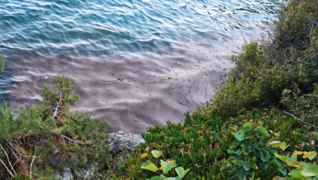 MLADIĆ SE UDAVIO U NEOS MARMARASU Izvukli ga iz vode, reanimirali, ali mu nije bilo spasa