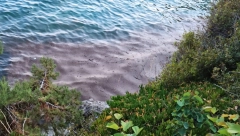 MLADIĆ SE UDAVIO U NEOS MARMARASU Izvukli ga iz vode, reanimirali, ali mu nije bilo spasa