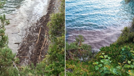 SRBIMA PROPALO LETOVANJE U grčkom letovalištu snimljena odvratna pojava, niko ne zna šta to pliva u moru