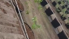 NA OVOM SEZONSKOM POSLU DNEVNICA JE 4.500 DINARA Nisu potrebni ni znanje ni iskustvo, samo da se zasuku rukavi