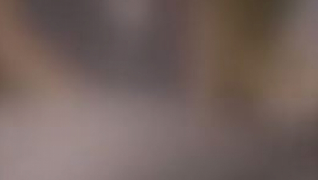 HOROR U HRVATSKOJ! Maloletnik silovao mačku, sve snimili telefonom!