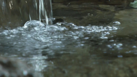 "DOĐU LJUDI SA ŠTAKAMA I ŠTAPOVIMA, PA POSLE BACE" Ovo mesto u Srbiji krije nešto zapanjujuće, evo o čemu je reč! (FOTO)