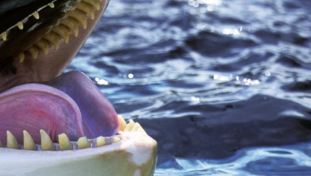 MISTERIJA KOJA JE UPLAŠILA SVE Morske nemani napadaju brodove, oglasili se naučnici (VIDEO)