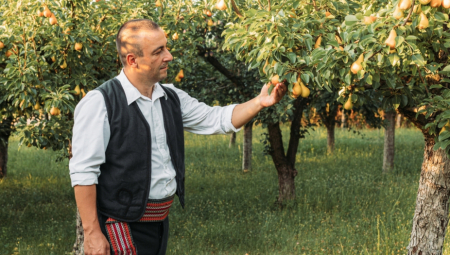 NEVEROVATNA PRIČA OBRADA IZ BILEĆE: Ovako je nepismeni Srbin postao jedan od najbogatijih Amerikanaca