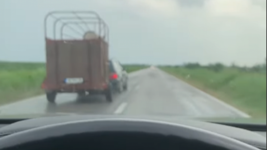 BAHATA VOŽNJA KOD ZRENJANINA Vozi konje u prikolici, a pretiče 120 na sat! (VIDEO)
