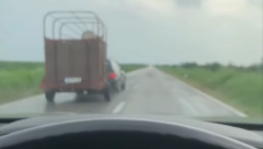 BAHATA VOŽNJA KOD ZRENJANINA Vozi konje u prikolici, a pretiče 120 na sat! (VIDEO)