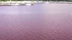 PANIKA NA JAPANSKOM OSTRVU Kristalno bistro more preko noći poprimilo zlokobno crvenu boju