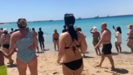 SRPSKI TURISTA SNIMIO PANIKU U HURGADI Kupači pobegli iz vode, mislili da je ajkula, kad ono... (VIDEO)