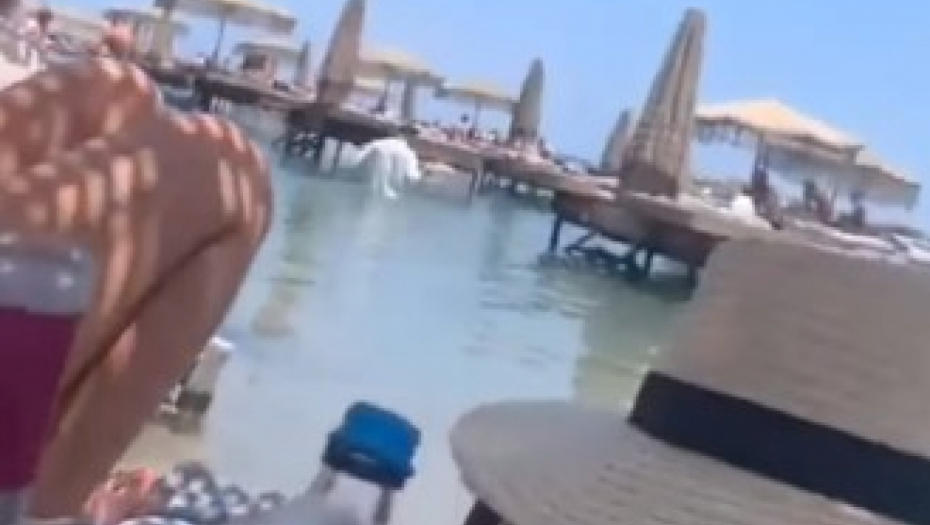 "AJDE BUDIMO NORMALNI" Pogledajte šta sve mora da radi konobar u Grčkoj