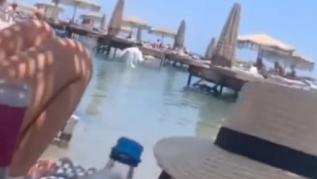 "AJDE BUDIMO NORMALNI" Pogledajte šta sve mora da radi konobar u Grčkoj