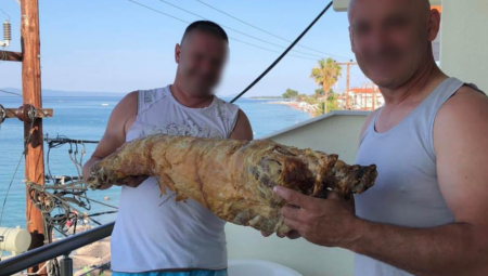 PARADAJZ TURISTI POSTALI JAGNJEĆA BRIGADA Srbi na grčku plažu doneli celo pečenje, pljušte komentari (FOTO)