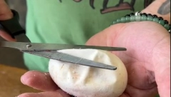 PRESEKAO JAJE MAKAZAMA Zbog onog šta je izašlo iz njega ljudi se ježe