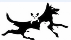 OPTIČKI TEST PRECIZNO OTKRIVA VAŠU MENTALNU STAROST Proverite koliko je mlad vaš mozak