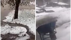 OLUJA MU JE ZA 15 MINUTA UNIŠTILA SVE Mićo iz Ivanjice snimio šta je ostalo od malinjaka, ovo je tuga