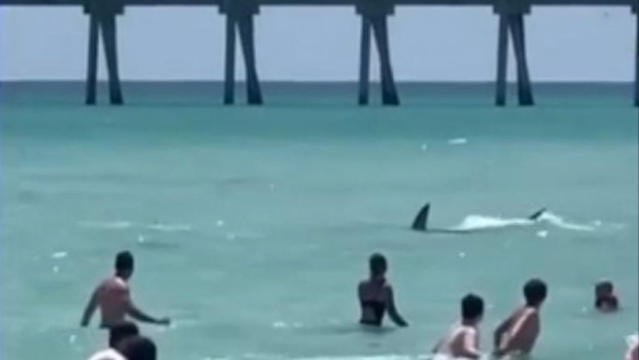 "BEŽITE IZ VODE" Prava drama na čuvenoj plaži - nastao haos (VIDEO)