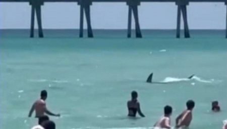 "BEŽITE IZ VODE" Prava drama na čuvenoj plaži - nastao haos (VIDEO)