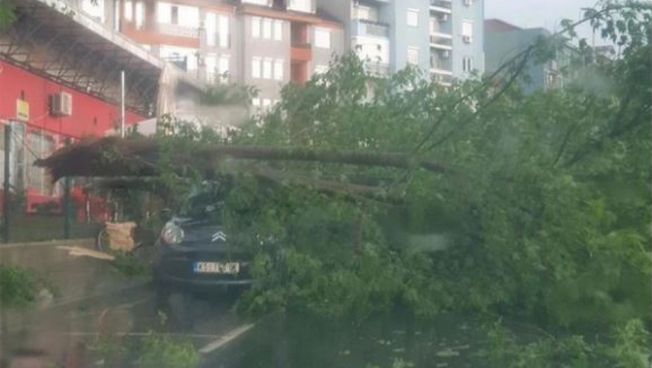 POSLEDICE NEVREMENA U KRUŠEVCU Olujno nevreme čupalo drveće, uništeni automobili i krovovi