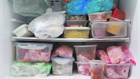 MUKE GRČKIH VLASNIKA APARTMANA SA SRPSKIM IZGLADNELIM TURISTIMA: Natrpao frižider hranom, pa mu ne hladi dobro!