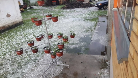 JAK GRAD STUKAO VOĆNJAKE U SRPSKOJ TOSKANI Tuga šta je ostalo posle nevremena