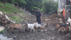 SPC UPOZORAVA NA LAŽNOG MONAHA Iznuđuje pare za izgradnju manastira, lažno se predstavlja i obmanjuje narod, a evo šta on kaže