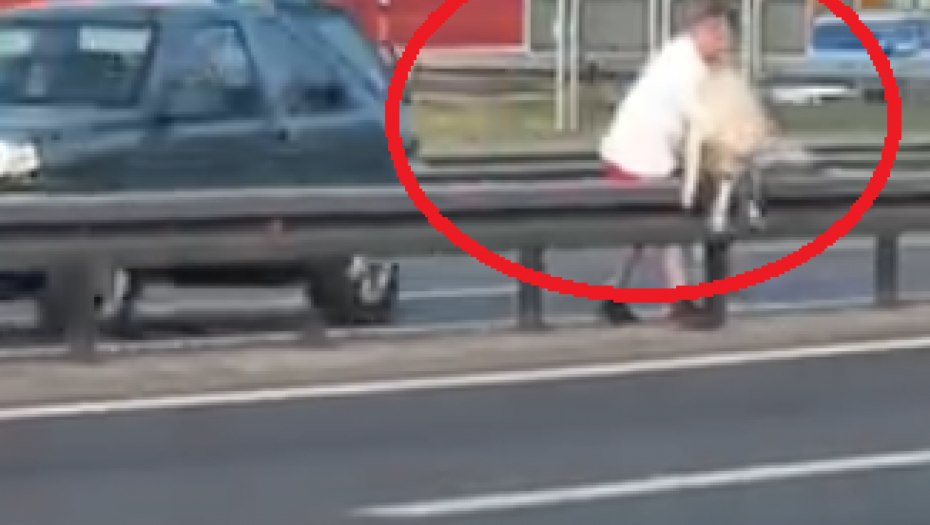 ŽAO MI PSA, STRPAJTE OVOG U ZATVOR Srbin je ovo izveo nasred autoputa, narod je baš besan