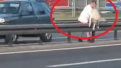 ŽAO MI PSA, STRPAJTE OVOG U ZATVOR Srbin je ovo izveo nasred autoputa, narod je baš besan