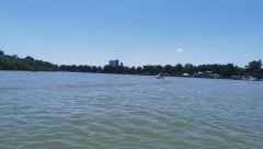 KOLIKO JE BEZBEDNO KUPATI SE NA SAVI I DUNAVU?! U vodi se nalaze koliformne bakterije i crevne enterokoke!