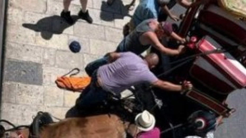 HOROR U GRČKOJ Zbog zarade terali konja da prevozi turiste po najvećoj vrućini, bičevali ga do smrti