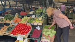 ŠARGAREPA 200 DINARA, A TEK MALINE... Ljudi u neverici zbog cena sa srpske pijace