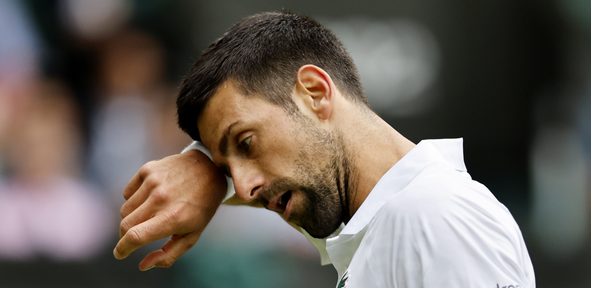 SVE SAMO NE OBIČAN MEČ Evo kad Novak igra za finale Vimbldona i novi strašan rekord