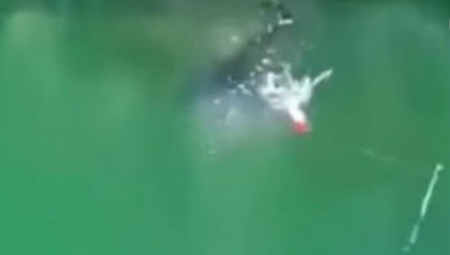 ZABACIO UDICU, A ONDA JE NEŠTO JEZIVO KRENULO KA NJEMU Pecaroš se smrzo od straha kada je ugledao ovo (VIDEO)