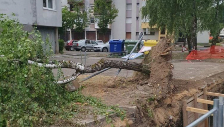 Nevreme u Hrvatskoj: Snažan vetar čupao stabla iz korena (FOTO)