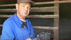 NI ŠKOLA, NI DIPLOMA, A U DŽEP STAVI 5.000€ ČISTO Miroslav kaže da je ovo najbolji mali biznis, ide mu odlično, proda do poslednje!