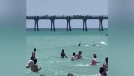 "BEŽITE ODATLE" Ljudi su uživali u plićaku, a onda je nastala panika (VIDEO)