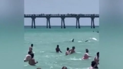 "BEŽITE ODATLE" Ljudi su uživali u plićaku, a onda je nastala panika (VIDEO)