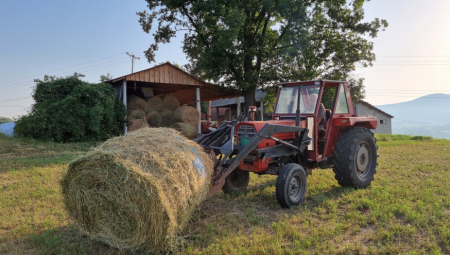 SVI BI U SELO DA PRONAĐU MIR, ALI MISLE DA JE OVAJ DEO TEŽAK Evo kako registrovati poljoprivredno gazdinstvo da budete svoj na svome