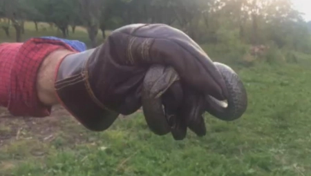 OTVORIO JE VRATA OD KOLA I VIDEO ZMIJU OTROVNICU Mišo iz Trebinja je imao sreće samo zbog ovoga