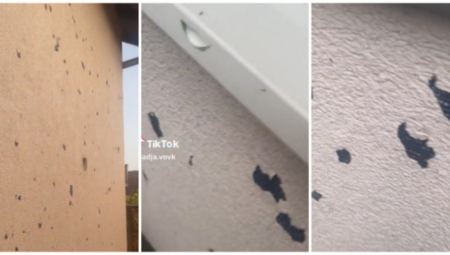 OLUJA JE PRE 5 DANA NAPRAVILA HAOS U VRBASU Sad spremni čekaju novo nevreme koje može biti opasno