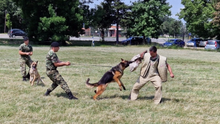 UPADAJU U OBJEKTE I MOTORNA VOZILA I NEUTRALIŠU PROTIVNIKA Pogledajte kako izgleda obuka srpskih vojnih pasa za specijalna dejstva (FOTO)