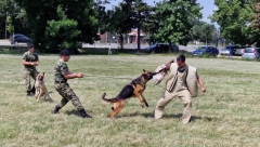 UPADAJU U OBJEKTE I MOTORNA VOZILA I NEUTRALIŠU PROTIVNIKA Pogledajte kako izgleda obuka srpskih vojnih pasa za specijalna dejstva (FOTO)