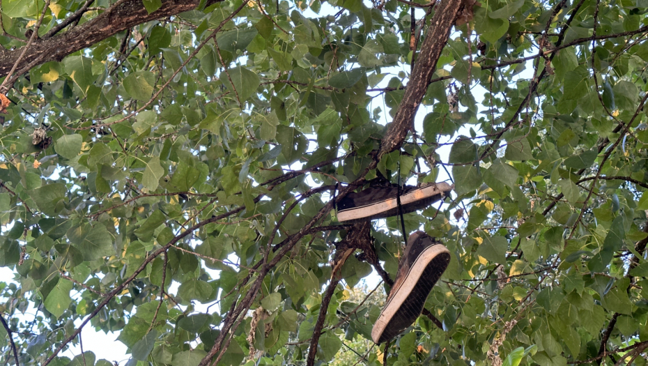 MNOGO PUTA STE VIDELI STARE PATIKE NA ŽICAMA ZA STRUJU ILI DRVEĆU Običaj dolazi sa Zapada, a evo šta zaista znači (FOTO)
