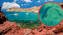 "KAO DA MI NEKO SEČE NOGU NA ŽIVO" Srbin preživeo pravi horor kada je stao na otrovnu ribu u Grčkoj, samo jedna stvar ga spasila užasa!