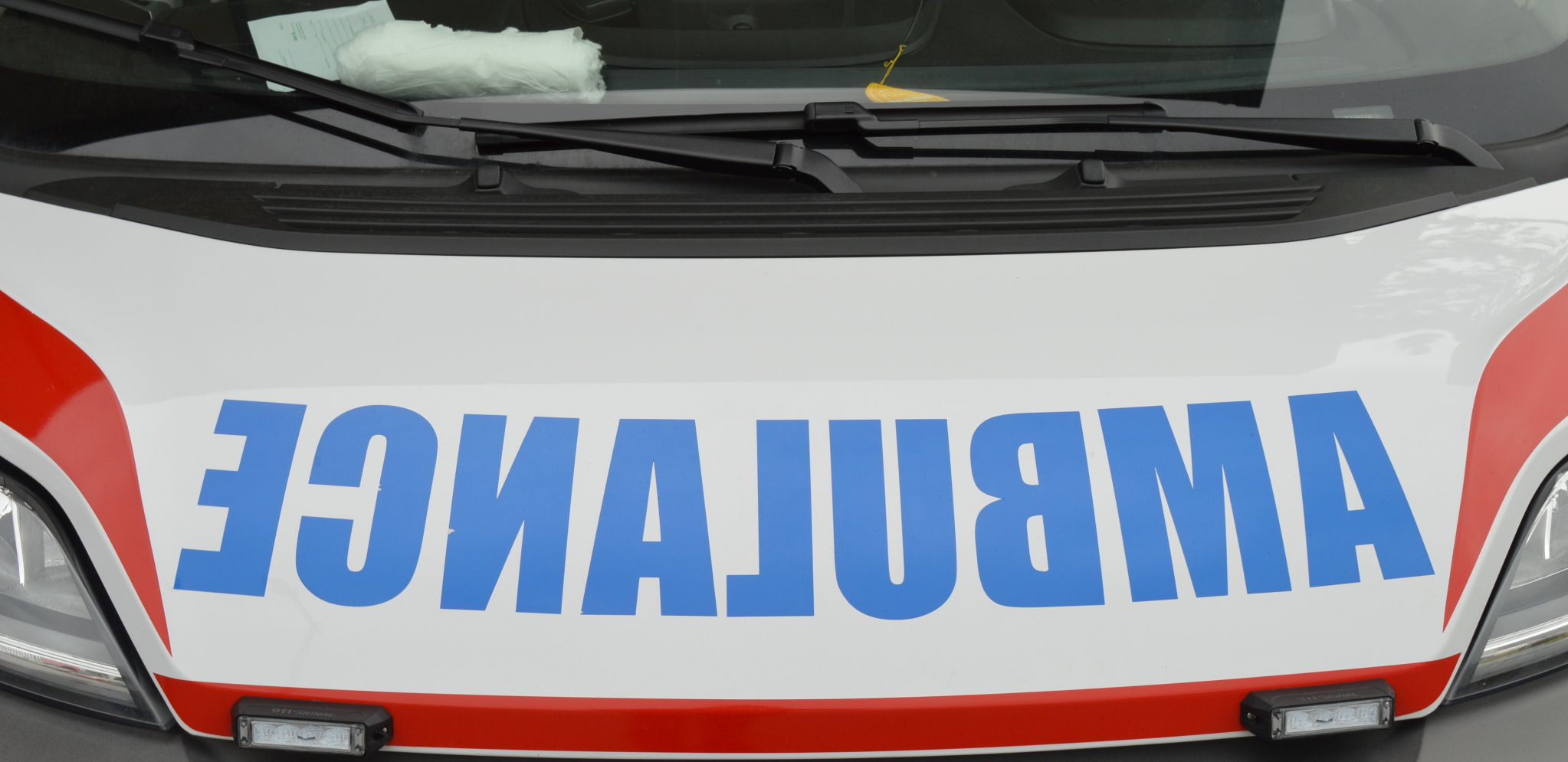 PAS UBIO SEDMOMESEČNU BEBU Ugrizao je za glavu, preminula u bolnici