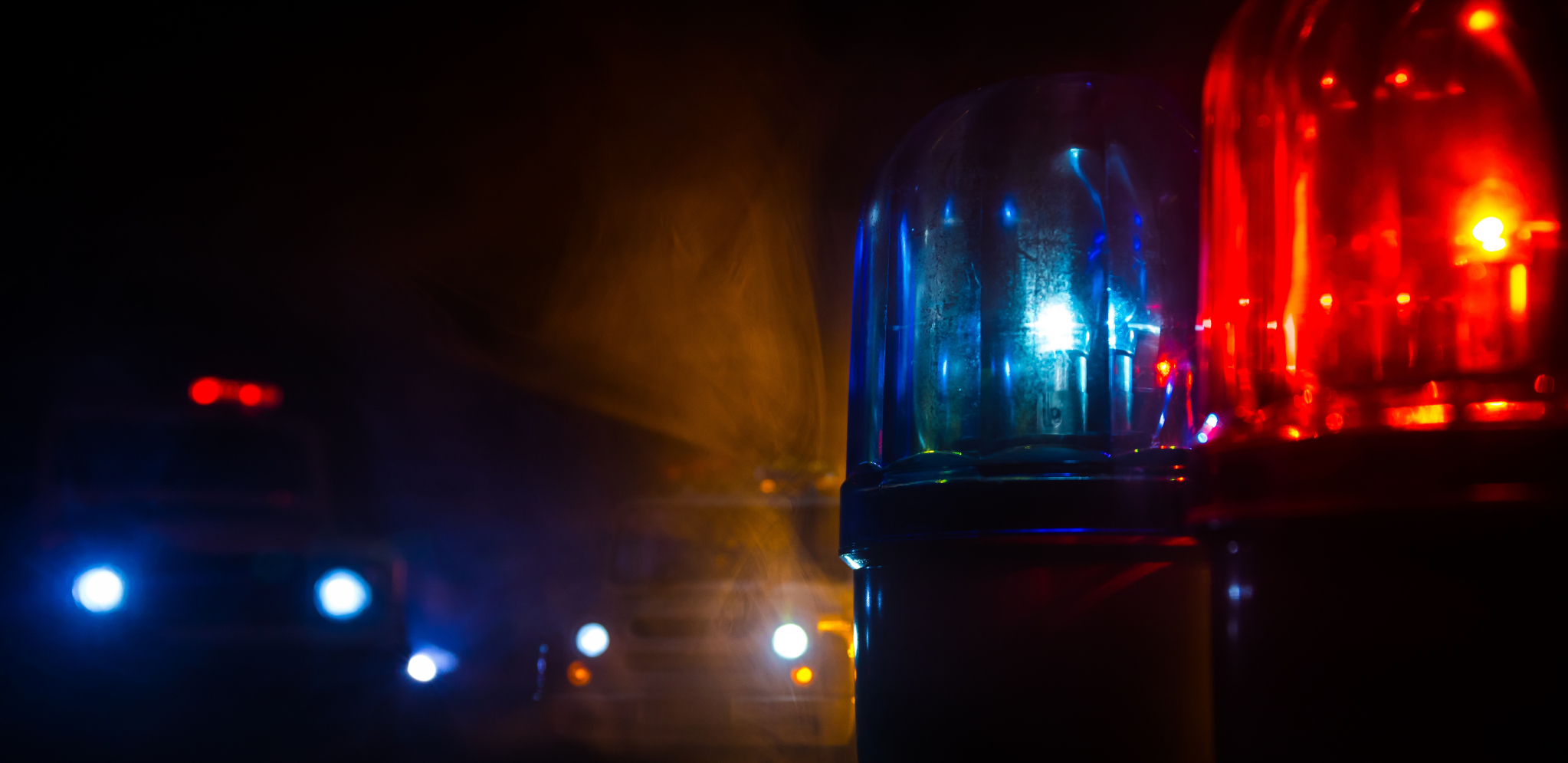 OVCA NAPRAVILA LANČANI SUDAR NA AUTO-PUTU KOD VRČINA Preskočila ogradu, nastao karambol (VIDEO)