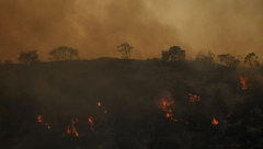 SPRŽENA ZEMLJA Grčko letovalište pretvoreno u pepeo