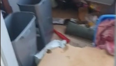 ALA SU GA UREDILI Cela Srbija bruji o podstanaru iz pakla, šokantan video kruži mrežama