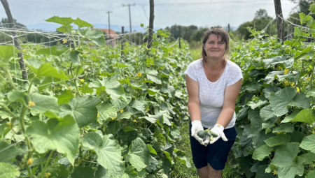 MILA GAJI POVRĆKU KOJU NEMCI GRICKAJU KAO ČIPS Sve je obezbeđeno, a za par meseci zaradi se godišnja plata