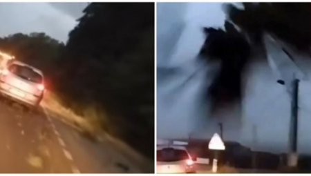 JEZIV SNIMAK SA BEOGRADSKOG DRUMA Vetar oborio drvo pravo na auto, čuo se udarac pa vrisak (VIDEO)